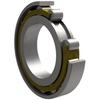 Cylindrical roller bearing caged Single row Series: N